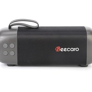 اسپیکر شارژی بیکارو Beecaro GF401